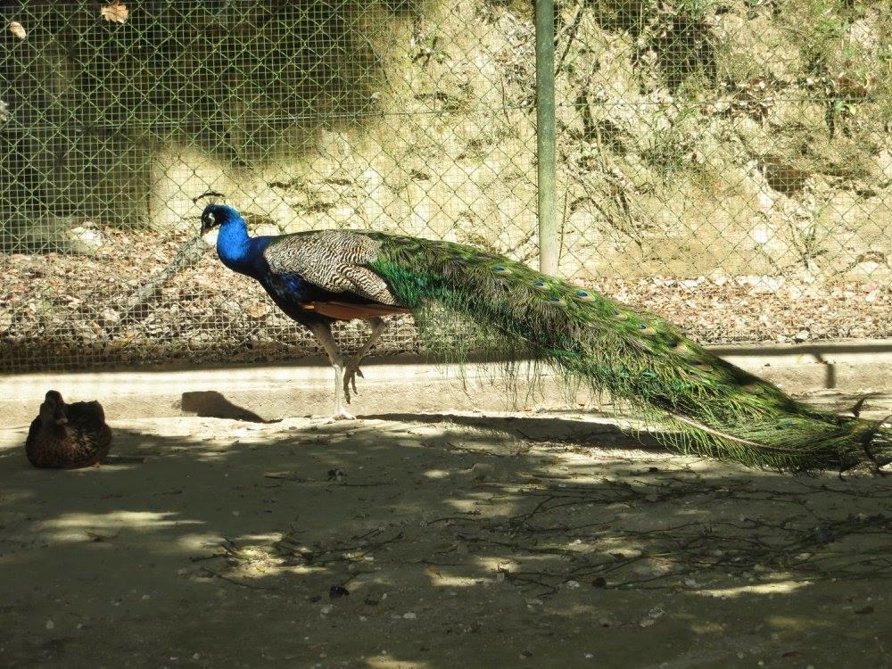 Encosta Dos Tuneis - Turismo E Lazer Sever do Vouga Dış mekan fotoğraf