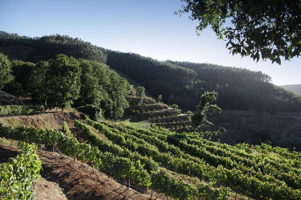 Encosta Dos Tuneis - Turismo E Lazer Sever do Vouga Dış mekan fotoğraf